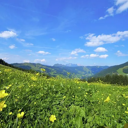Nyaraló Luxurious Holiday In With Terrace Saalbach Hinterglemm
